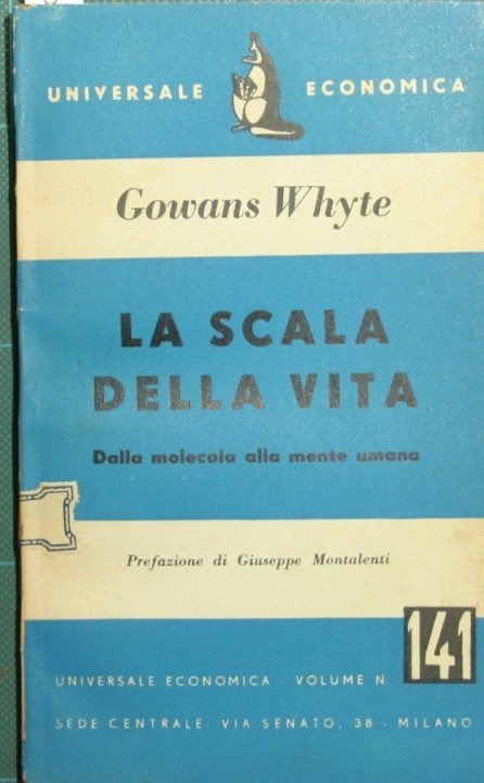 La scala della vita | Immagine Gallery 2