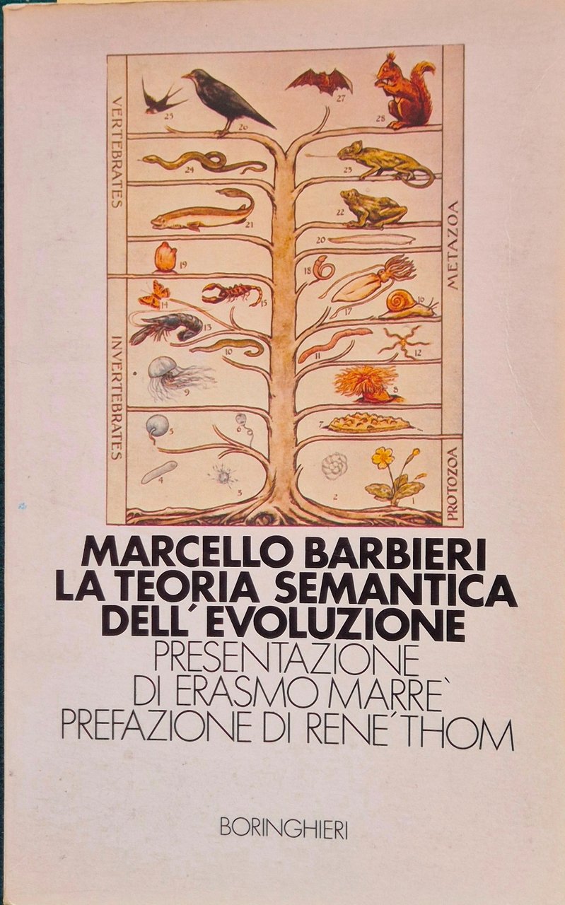 La teoria semantica dell'evoluzione | Immagine principale