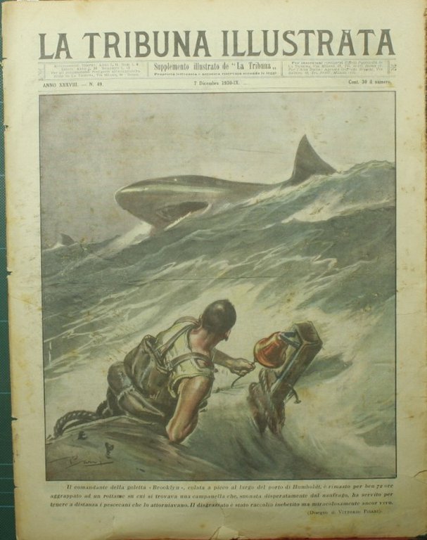La tribuna illustrata. 7 dicembre 1930 | Immagine Gallery 2