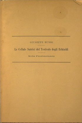 Le Cellule Nutrici del testicolo degli Echinidi