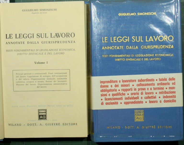 Le leggi sul lavoro annotate dalla giurisprudenza. Vol. I-II