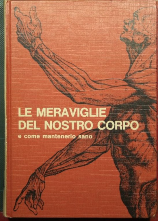 Le meraviglie del nostro corpo e come mantenerlo sano