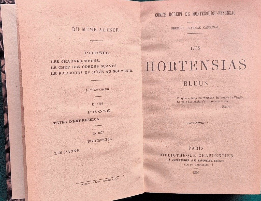 Les hortensias bleus