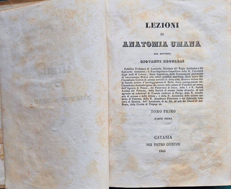 Lezioni di anatomia umana