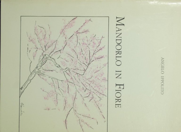 Mandorlo in fiore