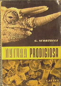 Natura prodigiosa