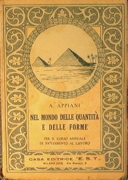 Nel mondo delle quantità e delle forme