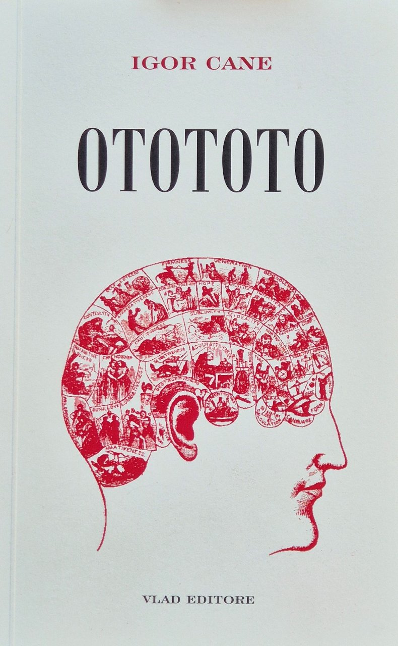 Otototo - Ivan