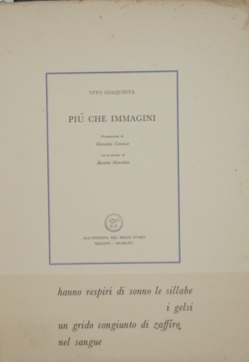 Più che immagini | Immagine Gallery 2