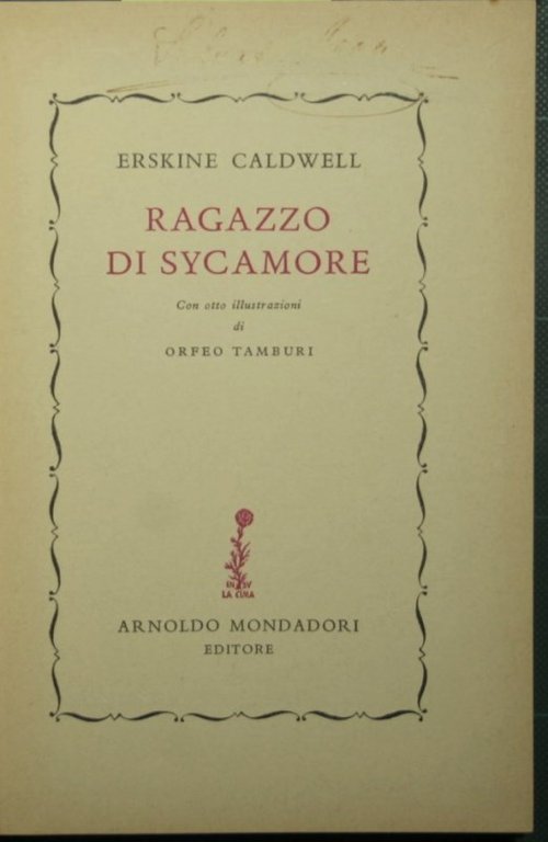 Ragazzo di Sycamore