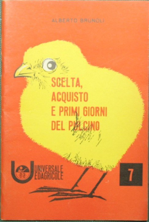 Scelta, acquisto e primi giorni del pulcino | Immagine Gallery 2