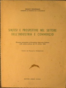 Sintesi e prospettive nel settore dell'industria e commercio