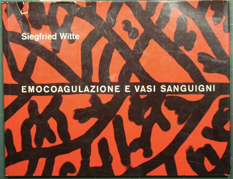 Studio morfologico dei rapporti funzionali fra emocoagulazione e vasi sanguigni
