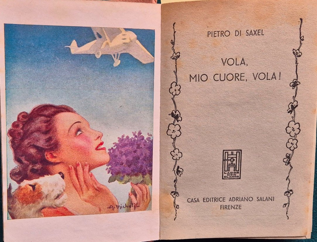 Vola, mio cuore, vola! | Immagine principale