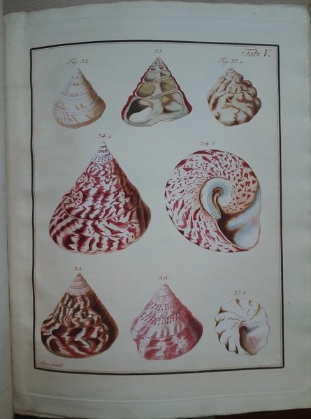 Serie di 30 tavole incise e colorate a mano da … | Immagine Gallery 1