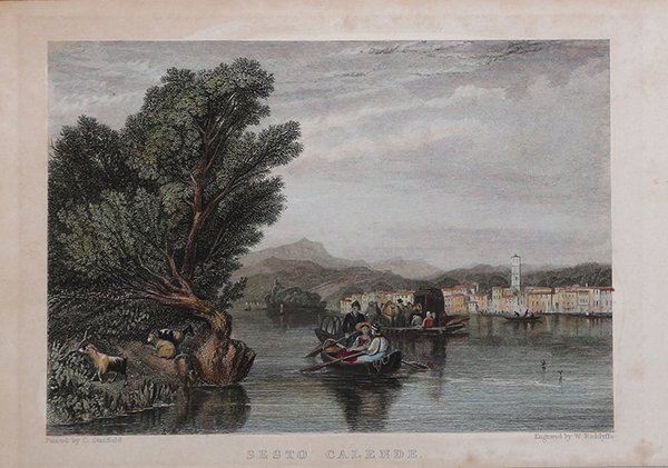 Ovis Peruana. / Aries Guineersis. / Zaino Tajacu Porcus Sylvester. …