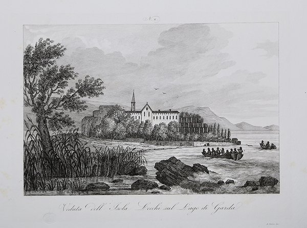 Camelo-pardus seu Girafra / Camolo pardalus