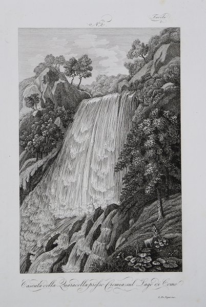 Bos Scythicus / Bubali Iuvenci. Iunge Buffel