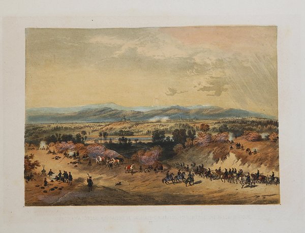 Lijnx - Lunchs / Canis Indico - Canis Indi - …