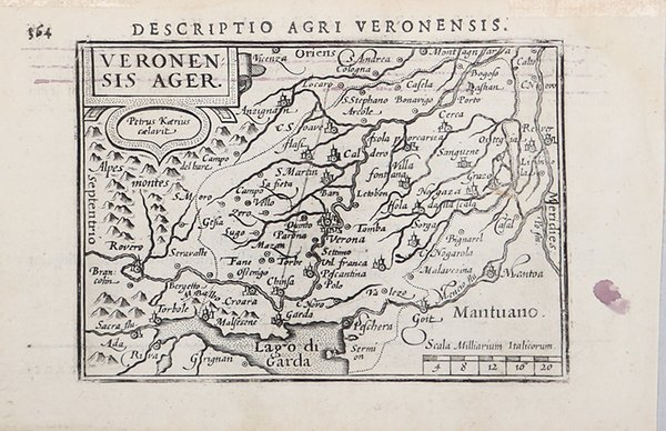 Veronensis Ager.