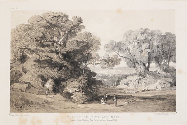 Forest of Pietrapennata