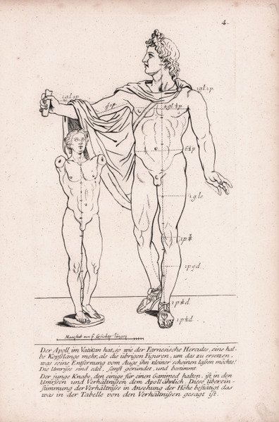 Der Apoll im Vatikan.