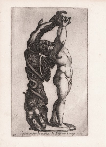 Cupido puber In aedibus Io. Baptistae Luragi