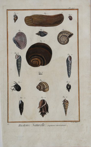 Collegio Pontificio Ecclesiastico degli Stati Uniti dell'America Meridionale