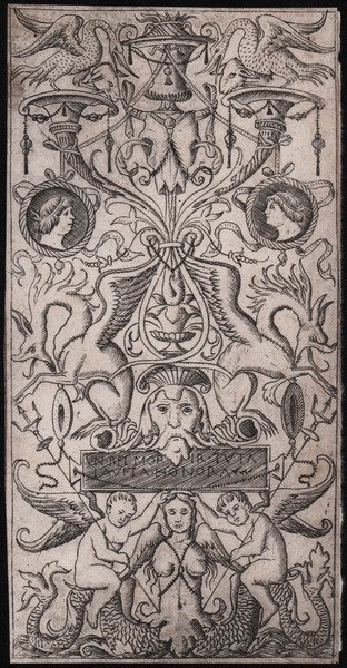 Fregio ornamentale (VN BEL MORIR TVTA LA VITA HONORA)