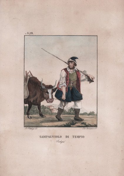 Campagnuolo di Tempio - Sardegna