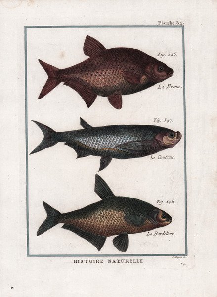 La Breme. Le Couteau. La Bordeliere.