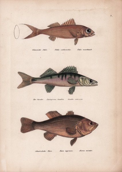 Carte Administrative de la France divisé en 110 départements.