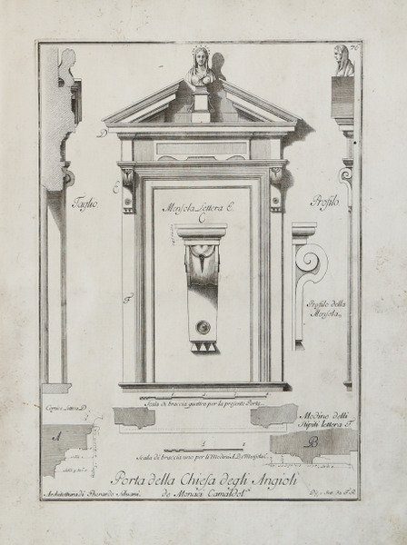 Aconito pardialanche (Aconito napello) | Immagine principale