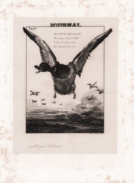 Le Canard (Le Journal)