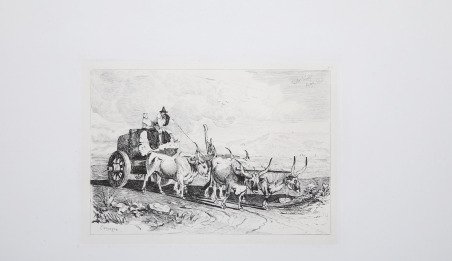 Carro trainato dai buoi