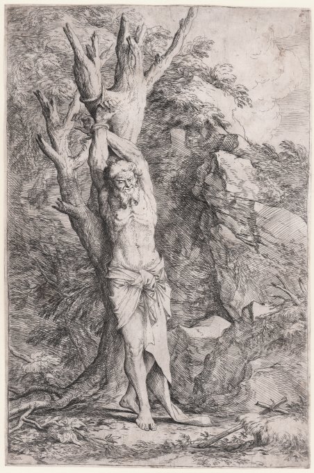 Albert legato ad un albero | Immagine principale