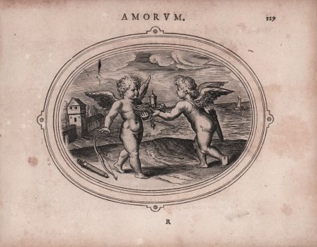 Amorum