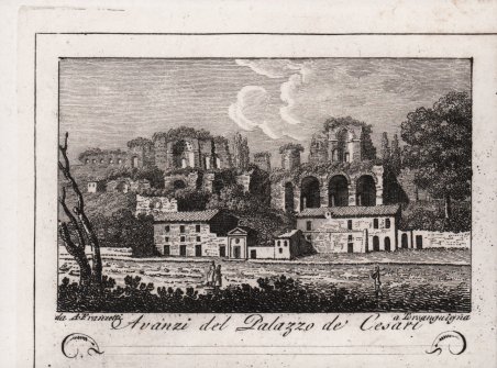 Avanzi del Palazzo de' Cesari