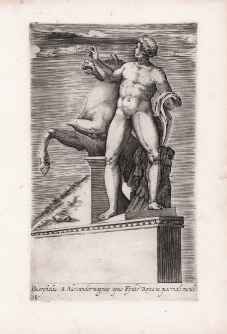 Bucephalus & Alexander magnus opus Fydie Romae in quirinali monte