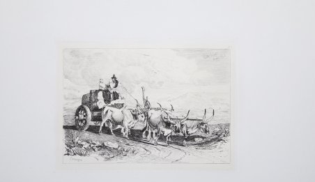 Carro trainato dai buoi