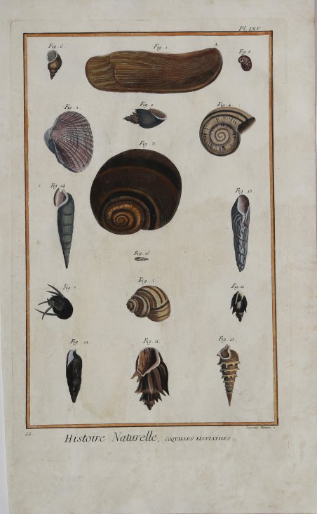 Collegio Pontificio Ecclesiastico degli Stati Uniti dell'America Meridionale