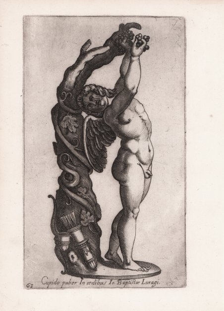 Cupido puber In aedibus Io. Baptistae Luragi