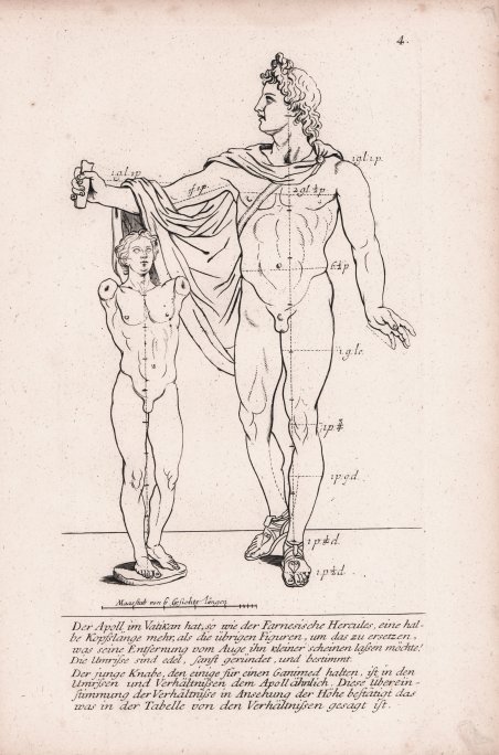 Der Apoll im Vatikan.