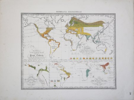 Distribuzione Geografica delle Piante Coltivate che forniscono i principali mezzi …