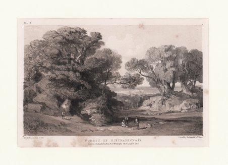 Forest of Pietrapennata