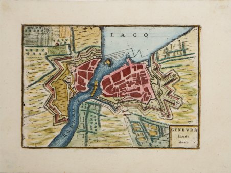 Ginevra Pianta alzata