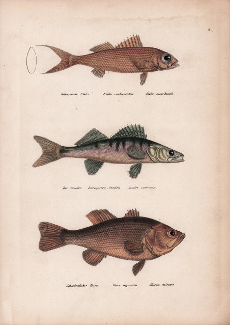 Carte Administrative de la France divisé en 110 départements.