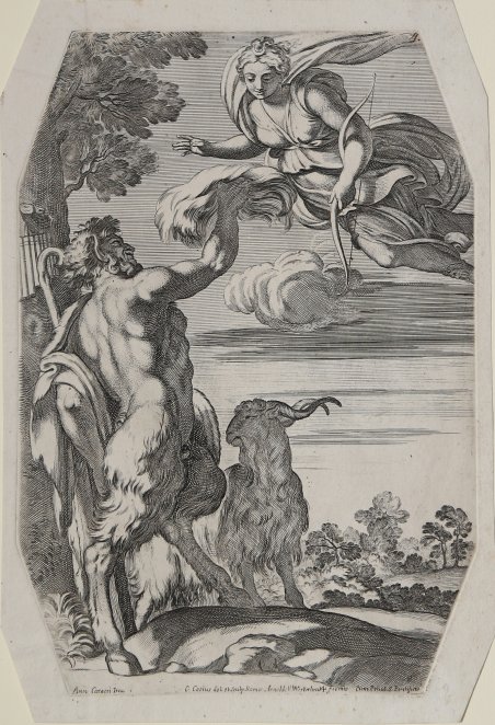 Il Dio Pan presenta una massa di bianca lana a …