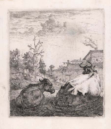 Il vitello e la mucca