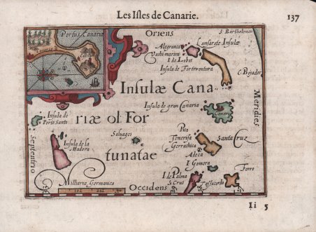 Insulae Canariae ol. Fortunatae | Immagine principale